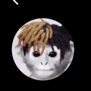 Meet your Posher, Will